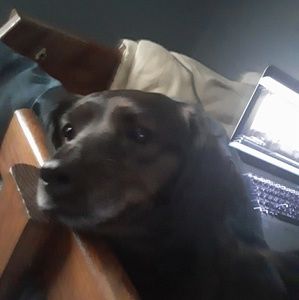 Meet your Posher, Arianna